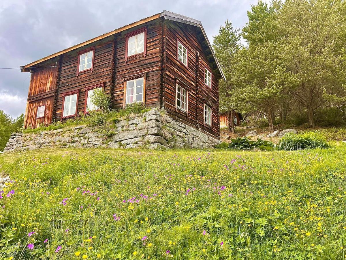 Reinheimen Lodge Skjåk Extérieur photo